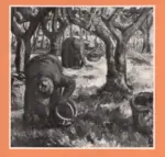 Anonimo ; Anonimo , s.v.