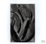 Somaini, Francesco , Studio di ulivo