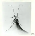 Somaini, Francesco , Ingresso per un teatro