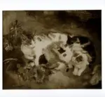 Spadini, Armando , Cani e gatti