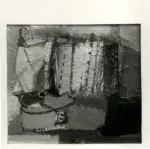 Spinosa, Domenico , La fisarmonica