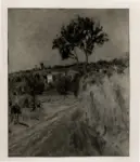 Springolo, Nino , Campagna d'estate