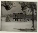 Springolo, Nino , L'approdo