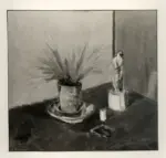 Springolo, Nino , La statuina