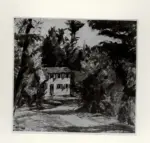 Anonimo , Springolo, Nino - sec. XX - Bosco