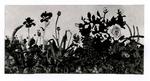 Anonimo , Tabusso, Francesco - sec. XX - Giardino trascurato