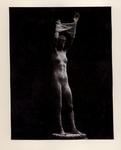Tallone, Filippo , Figura