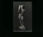 Tampieri, Giuseppe , Figura