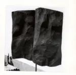 Tavernari, Vittorio , Composizione