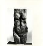 Anonimo , Tavernari, Vittorio - sec. XX - Busto di donna