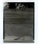 Tavernari, Vittorio , Inverno dalle Quattro Stagioni di Vivaldi