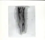 Tavernari, Vittorio , Nudo femminile