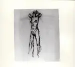 Tavernari, Vittorio , Nudo femminile