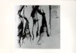Tavernari, Vittorio , Gambe di due nudi femminili d'incontro