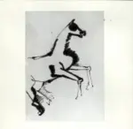 Tavernari, Vittorio , Cavallo cabrato