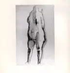 Tavernari, Vittorio , Nudo femminile