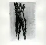 Tavernari, Vittorio , Nudo femminile