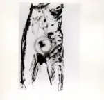 Tavernari, Vittorio , Nudo femminile