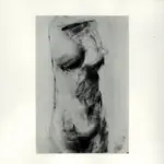 Tavernari, Vittorio , Nudo femminile