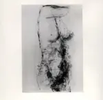 Tavernari, Vittorio , Nudo femminile