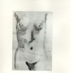 Tavernari, Vittorio , Nudo di fronte