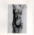 Tavernari, Vittorio , Nudo femminile