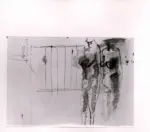 Anonimo ; Anonimo , s.v.