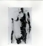 Anonimo ; Anonimo , s.v.