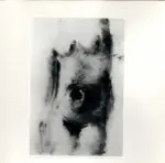 Tavernari, Vittorio , Nudo femminile