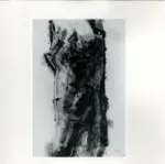 Tavernari, Vittorio , Nudo femminile