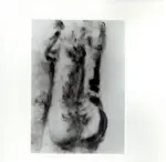 Tavernari, Vittorio , Nudo femminile dal dorso