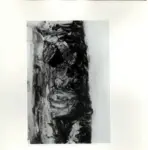 Tavernari, Vittorio , Nudo femminile