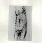 Tavernari, Vittorio , Nudo femminile dalle spalle al pube, verso sinistra