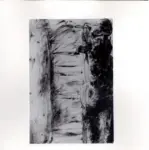 Tavernari, Vittorio , Nudo femminile dalle spalle al pube, verso sinistra