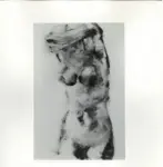 Tavernari, Vittorio , Nudo femminile dalle spalle al pube, verso sinistra