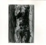 Tavernari, Vittorio , Nudo femminile di fronte