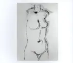 Tavernari, Vittorio , Nudo di donna