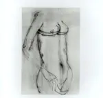 Tavernari, Vittorio , Nudo femminile