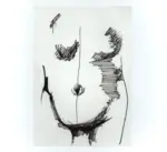 Tavernari, Vittorio , Busto