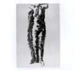 Anonimo ; Anonimo , s.v.