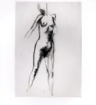 Tavernari, Vittorio , n. 519