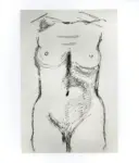 Tavernari, Vittorio , n. 310