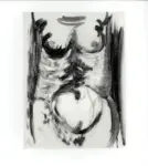 Tavernari, Vittorio , n. 405