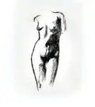 Tavernari, Vittorio , n. 211