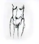 Tavernari, Vittorio , n. 208