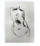 Tavernari, Vittorio , n. 294