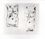 Tavernari, Vittorio , n. 229