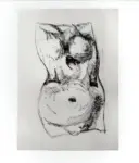 Tavernari, Vittorio , n. 293