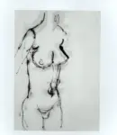 Tavernari, Vittorio , Nudo femminile