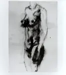 Tavernari, Vittorio , Nudo femminile